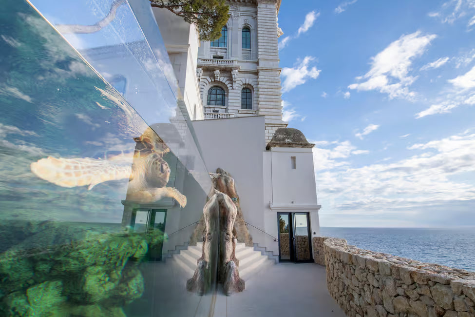 Oceanographic Museum of Monaco Ticket
